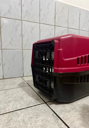 VENDO CAIXA DE TRANSPORTE PARA PET