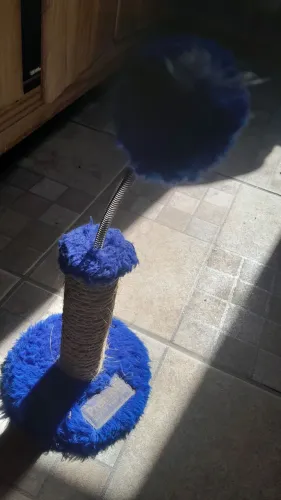 Brinquedo e arranhador para gatos