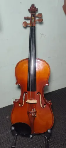 Violino 