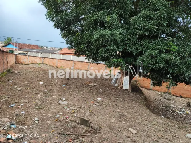 Excelente Oportunidade, lote de esquina 181 m²; Céu Azul - Belo Horizonte
