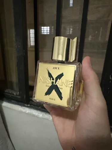 Ani X