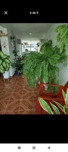 Vende-se uma casa no costa e silva $190
