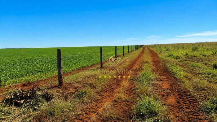 Mato Grosso do Sul | 3.454 Hectares | Agrícola e Pecuário