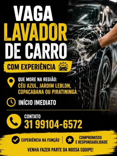 Lavador de carros