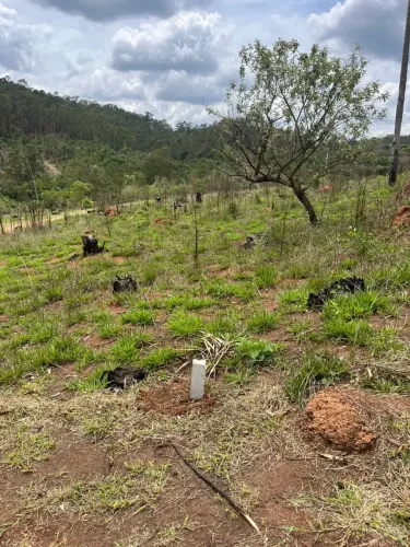 Imóvel para venda com 600 metros quadrados em Condomínio Terras de Santa Luiza - Atibaia -