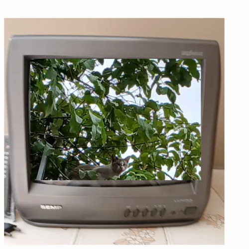 Tv antiga analógica de 14" Semp com defeito 