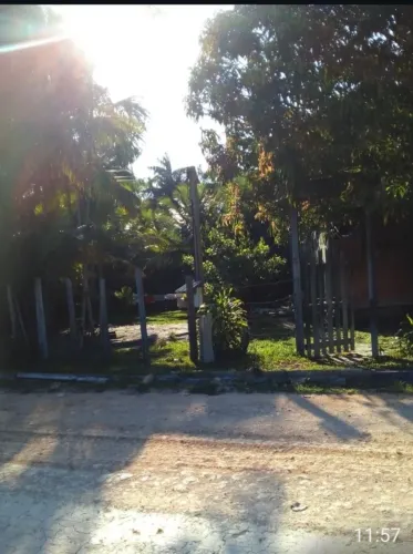 Vendo ou troco sítio por casa em manaus ramal Rio branquinho km67 mais 14 de ramal 