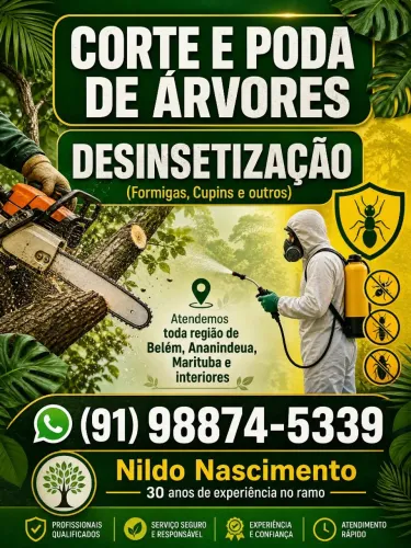 Corte e Poda de árvores