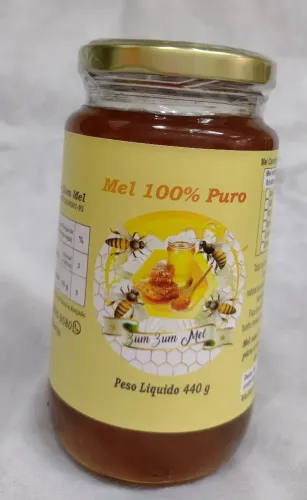 Mel 100% Puro 440g