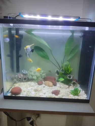 Aquário 40 litros