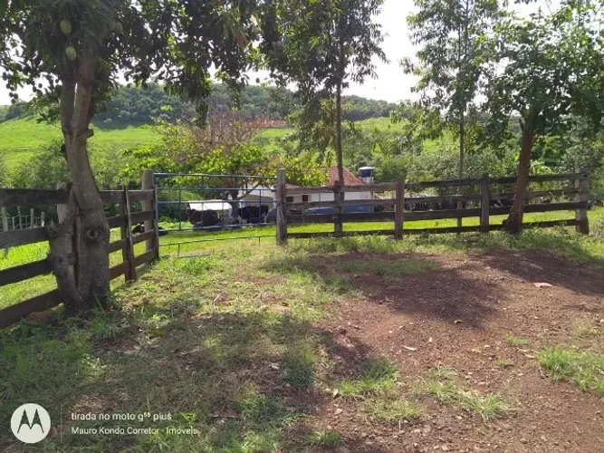 Sítio com 15,20 hectares (6,31 alq.) entre Jataizinho e Urai, com casa, 2,7 km da BR 369.