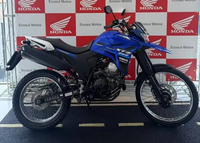 Yamaha XTZ /XTZ250 LANDER.