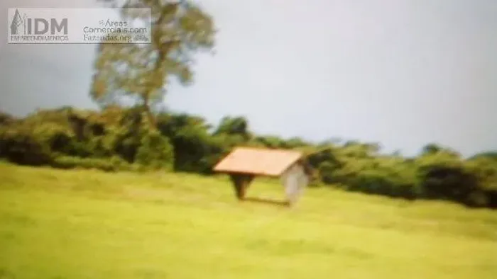 Fazenda Transpantaneira Pecuária com 87.870 ha em Poconé - MT