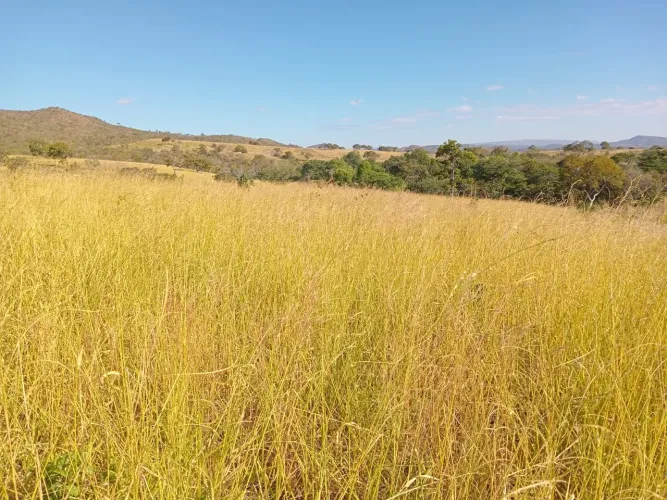 Fazenda de 62 alqueires