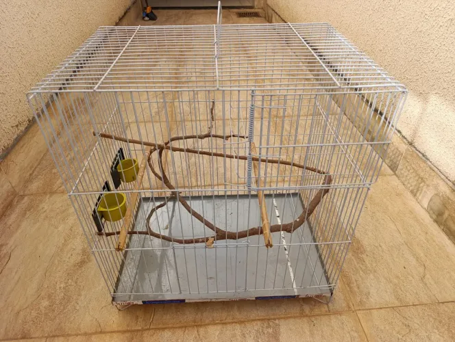 Gaiola Pássaros 60x60x40