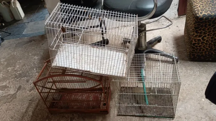 Três gaiolas barato,, ocasião 
