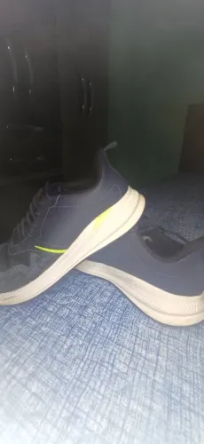 Tenis