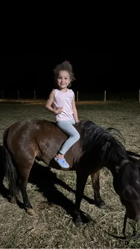 Poney inteiro