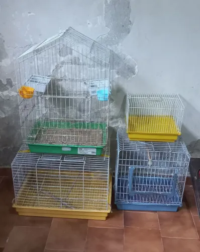 Gaiola para calopsita