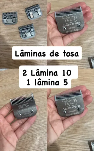 Laminas de Tosa: 10 e 5