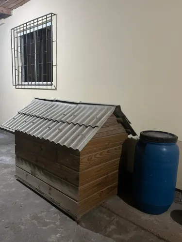 Casinha de cachorro