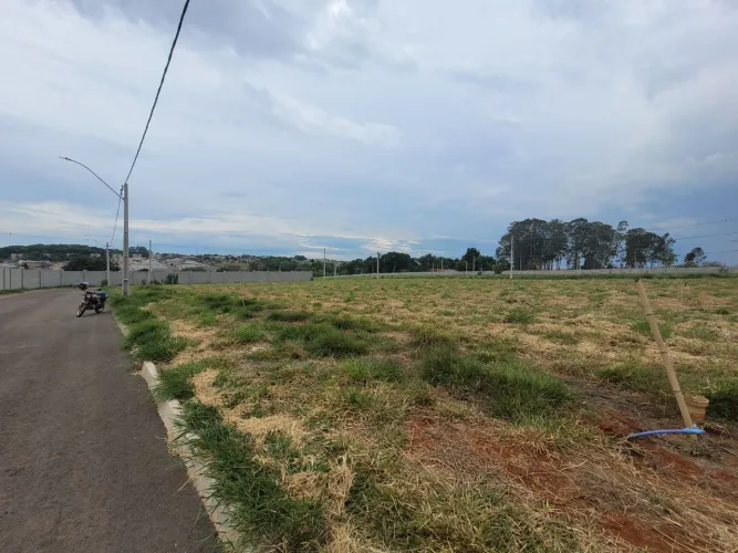 Ágio de lote no Pitit trianon!