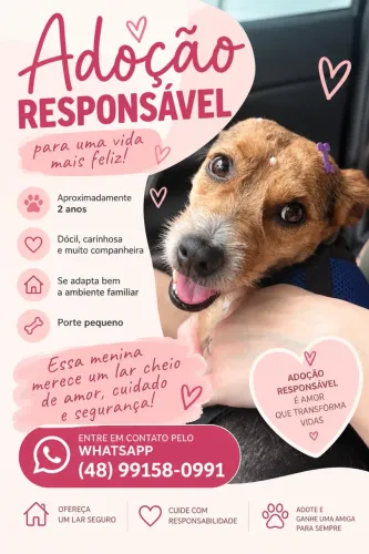 Cachorrinha para doação responsável