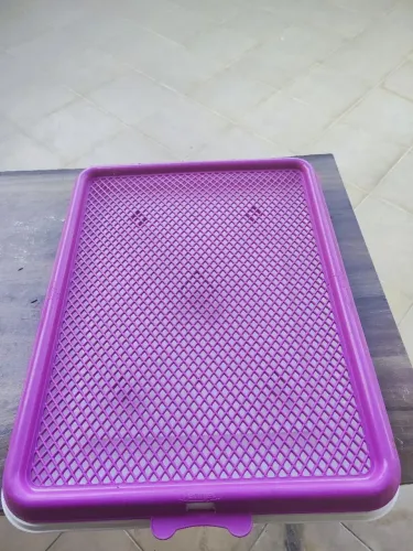 Sanitário Pet - loja Petz