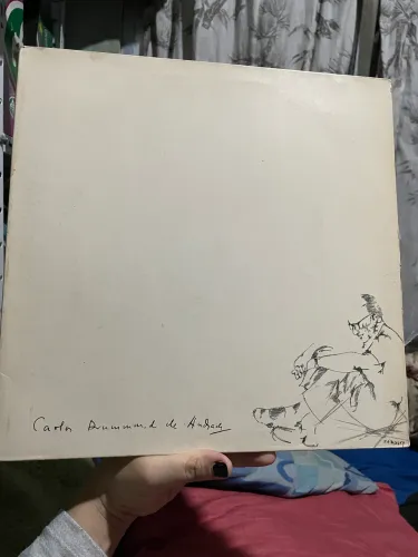 Disco de Vinil 