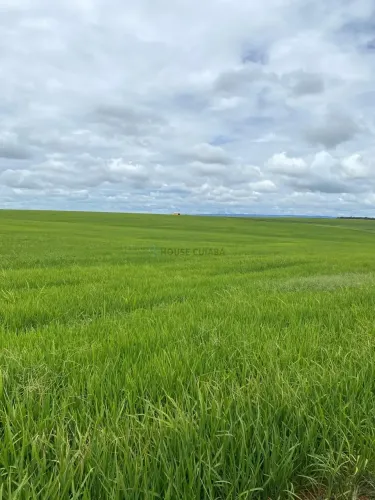 fazenda de 968 hectares na região do Município de Cristalina Goiás