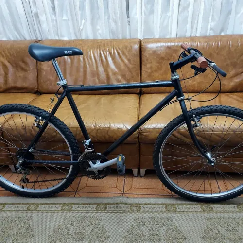 BICICLETA CALOI VINTAGE