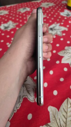 iPhone X