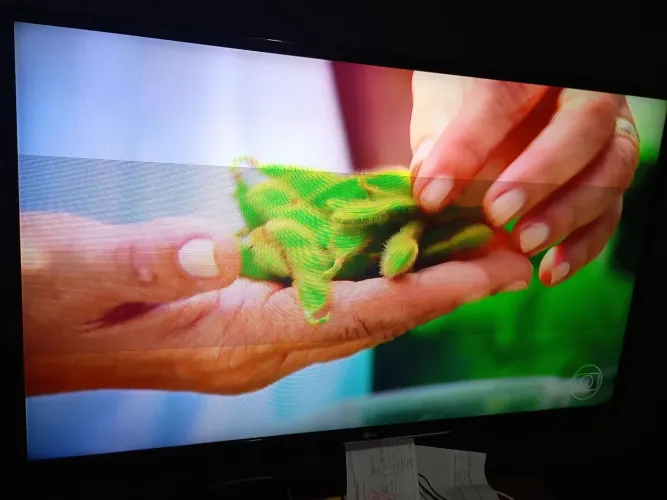 Tv LG 43