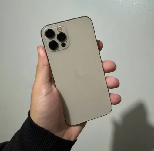12 pro