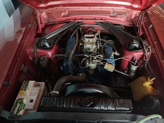 Motor Ford 302 V8
