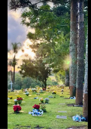 [URGENTE] 3 Jazigos no Jardim da Paz - Valor de Ocasião (Abaixo da Tabela)