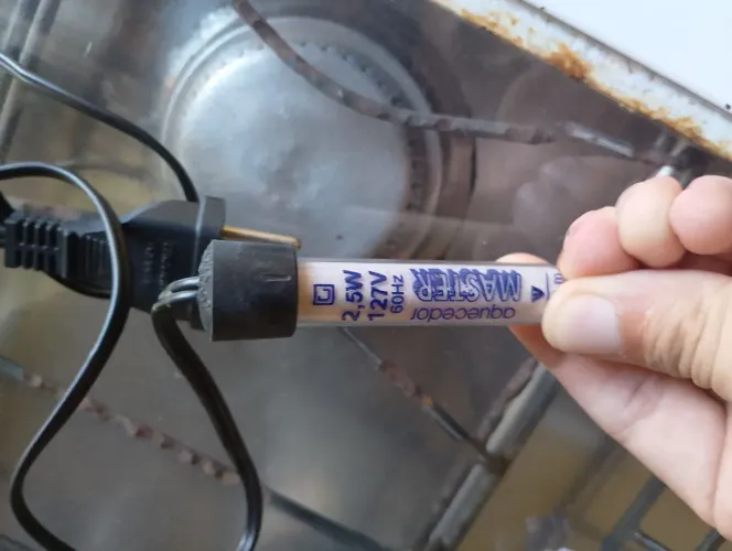 Termostato pra aquário
