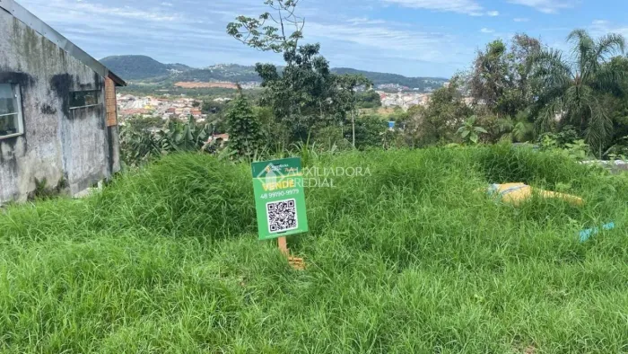 Ótimo lote próximo ao Bosque das mansões