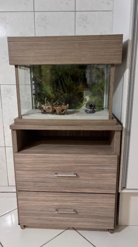 Aquário 60 Litros Completo