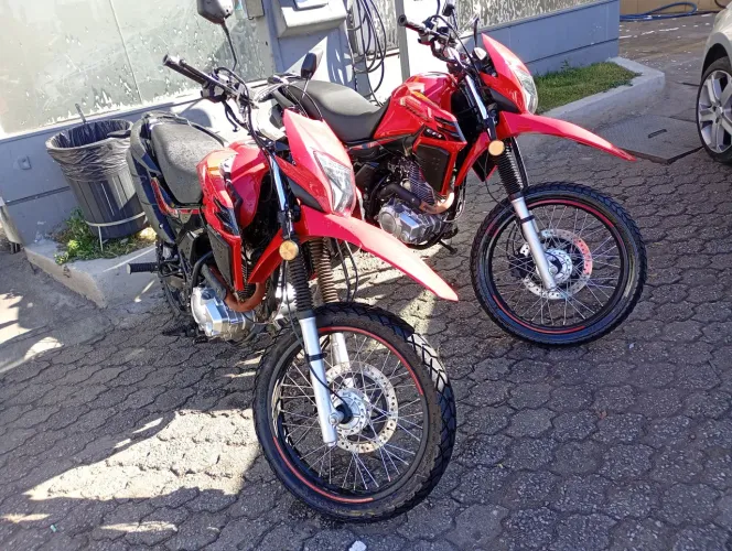Shi175