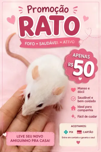 Promoção de rato Twister!