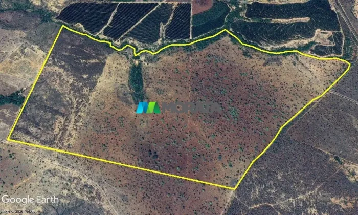 FAZENDA À VENDA - 170 HECTARES - CURVELO (MG)