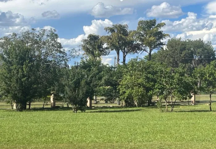 Lote de 4150m com vista livre permanente no park way quadra 28/5/5, analisa permuta 