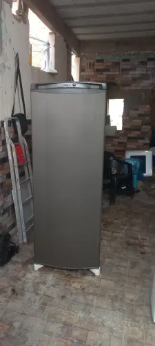 Freezer vertical