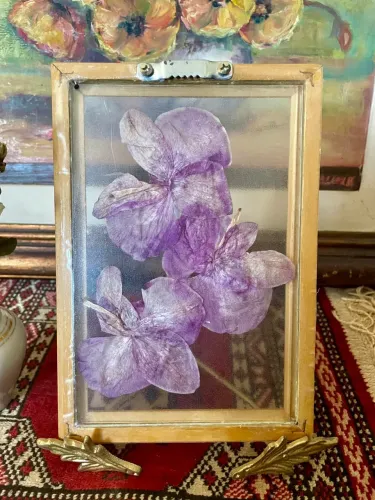 QUADRO COM ORQUÍDEAS DESIDRATADAS VINTAGE ANOS 70