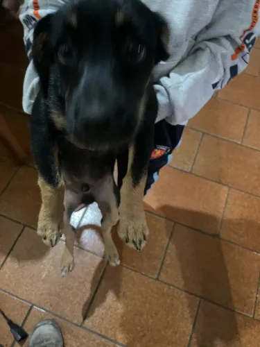 Doação