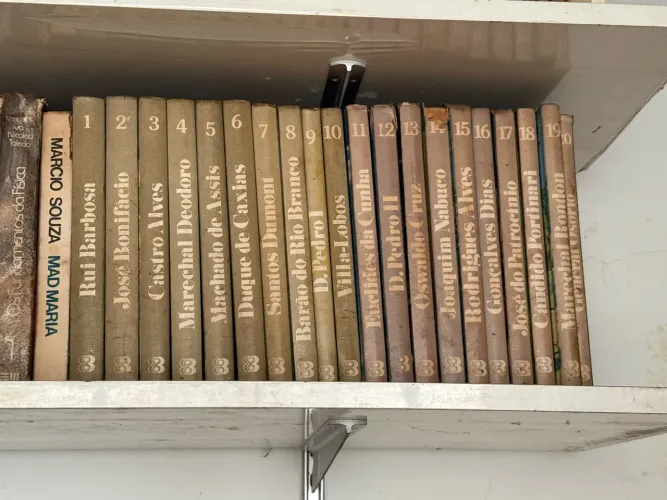 Coleção Completa A Vida dos Grandes Brasileiros - 20 Volumes