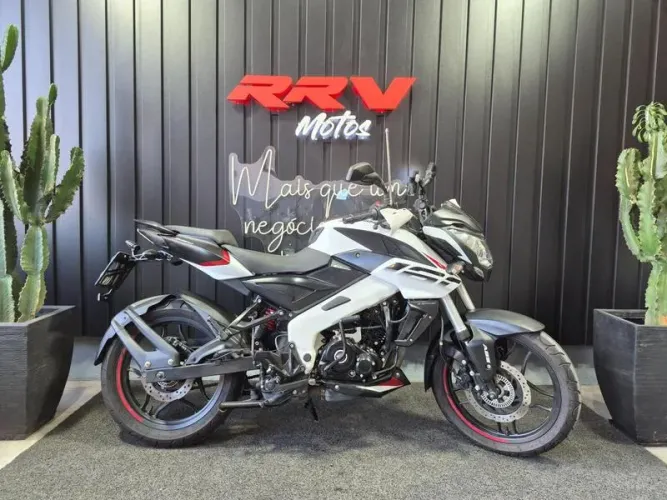 BAJAJ DOMINAR D160 2024