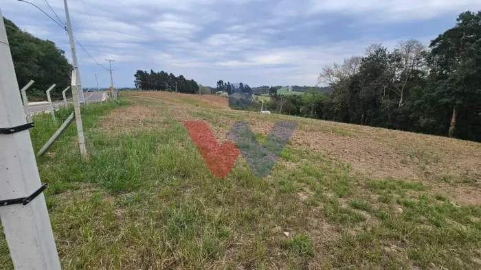 Área de 36.000 m ideal para formar chácara frente asfaltada, nascentes e fácil acesso