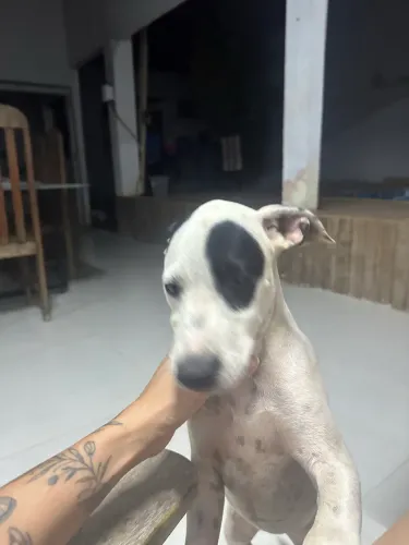 Doação